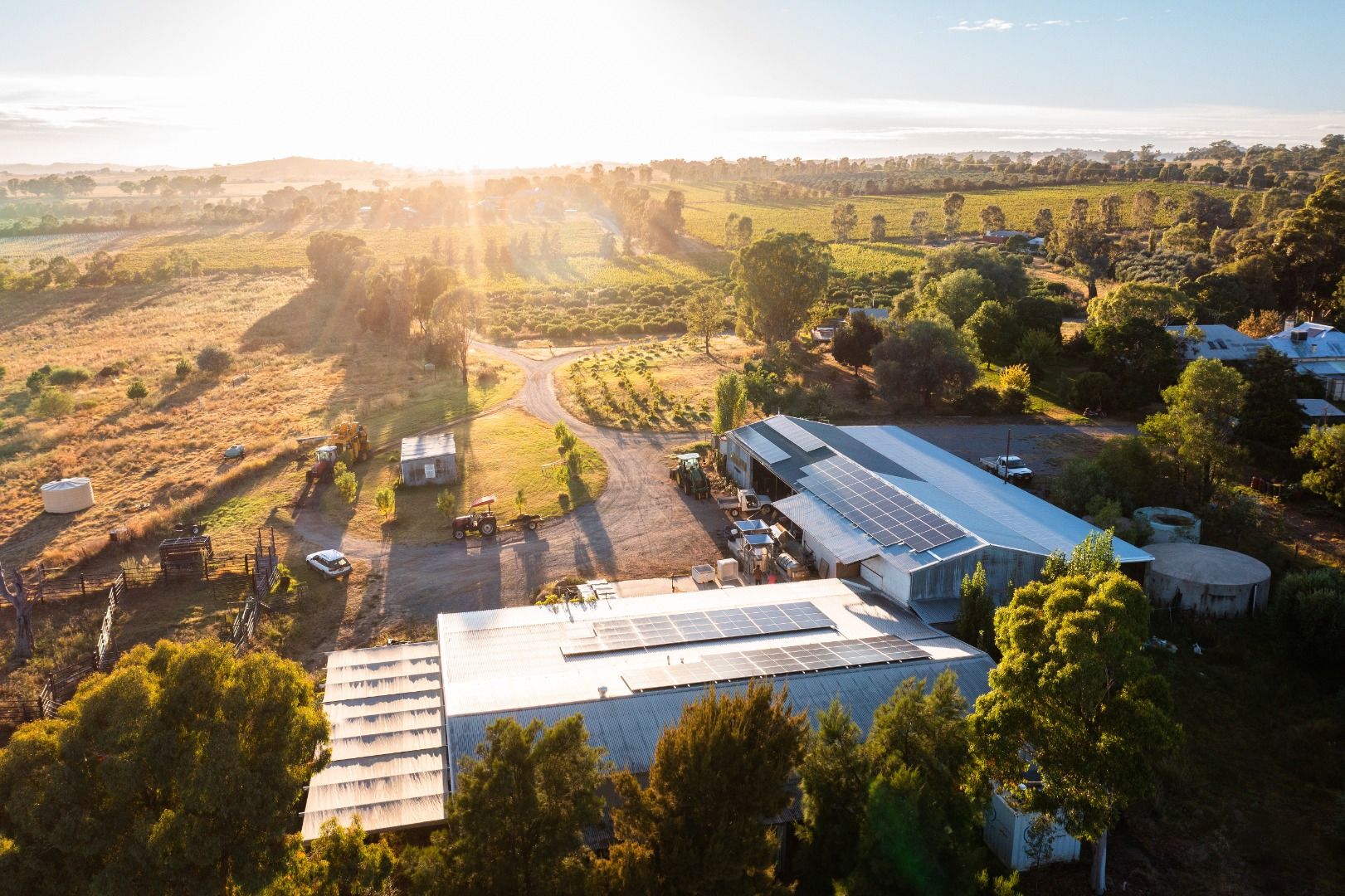 Aerial shot of Rosnay Organic vineyards