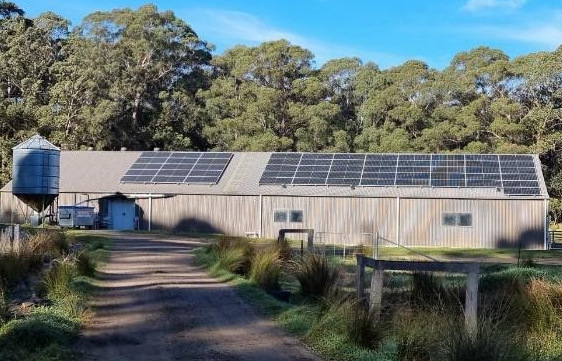 Pecora Dairy roof mounted solar array